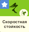 1733418912178.png